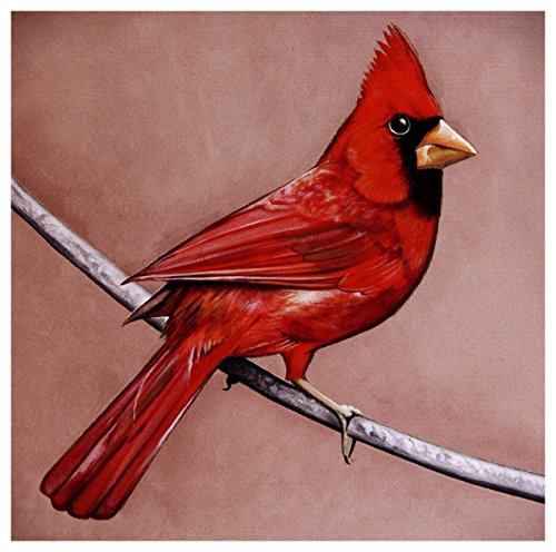 Old Crows / Young Cardinals