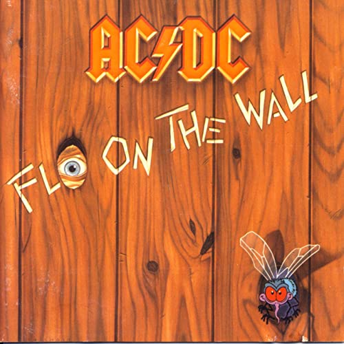 Fly on the Wall