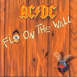 Fly on the Wall