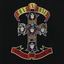 Appetite For Destruction