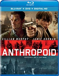 Anthropoid