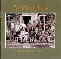 Waterboys/Fishermans Blues