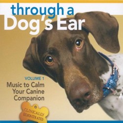 Through a Dog's Ear: Music to Calm Your Canine Companion