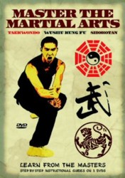 Master the Martial Arts [Import anglais]