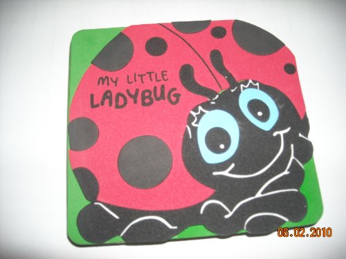 My Little Ladybug Childrens Book