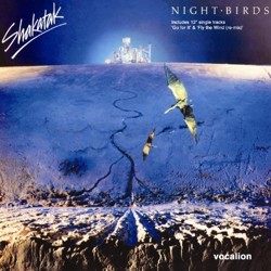 Night Birds