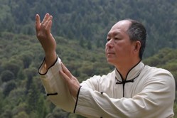 Tai Chi Silk Reeling: Yin/Yang Sticking Hands (YMAA) Tai Chi Push Hands [DVD]
