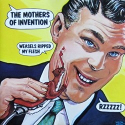 Weasels Ripped My Flesh