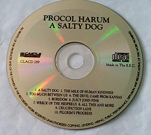 Salty Dog