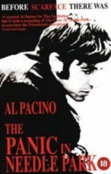 The Panic in Needle Park
