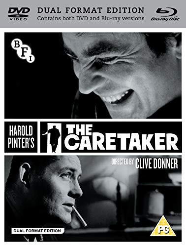 The Caretaker (DVD + Blu-ray)