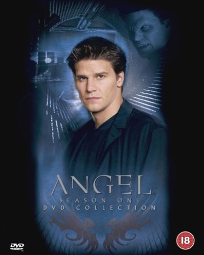 Angel - Season 1 (Standard plastic case packaging) [Import anglais]