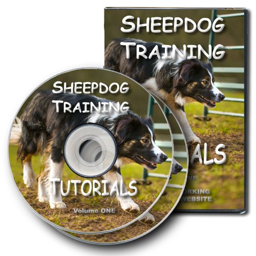 Sheepdog Training Tutorials Volume 1 [DVD]