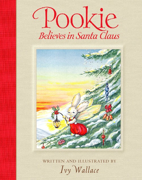 Pookie Believes in Santa Claus