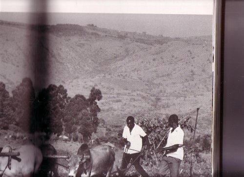 The Book of Kenya