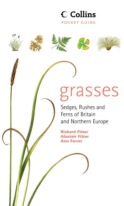 Grasses, Sedges, Rushes and Ferns of Britain and Northern Europe