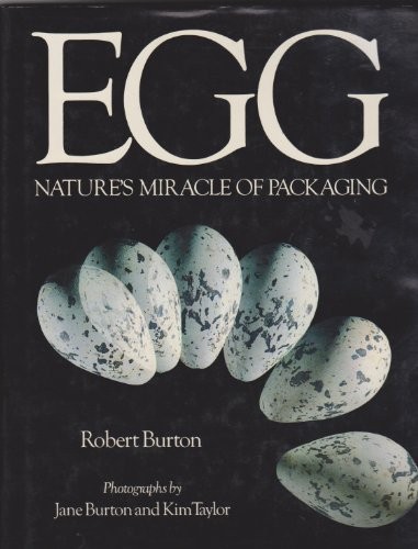 Egg
