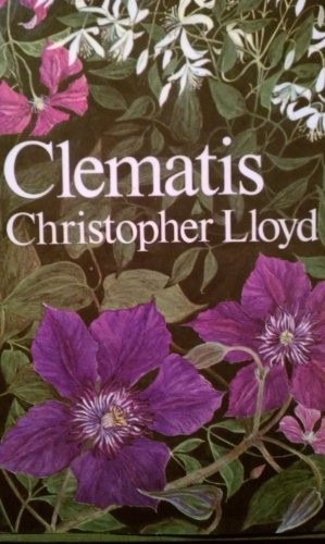 Clematis