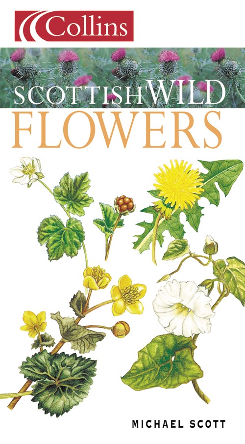 Scottish Wild Flowers