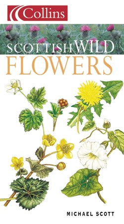 Scottish Wild Flowers