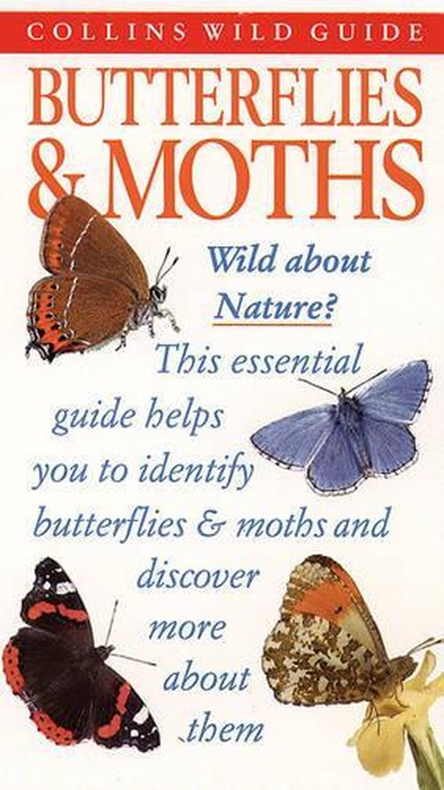 Butterflies and Moths of Britain and Europe