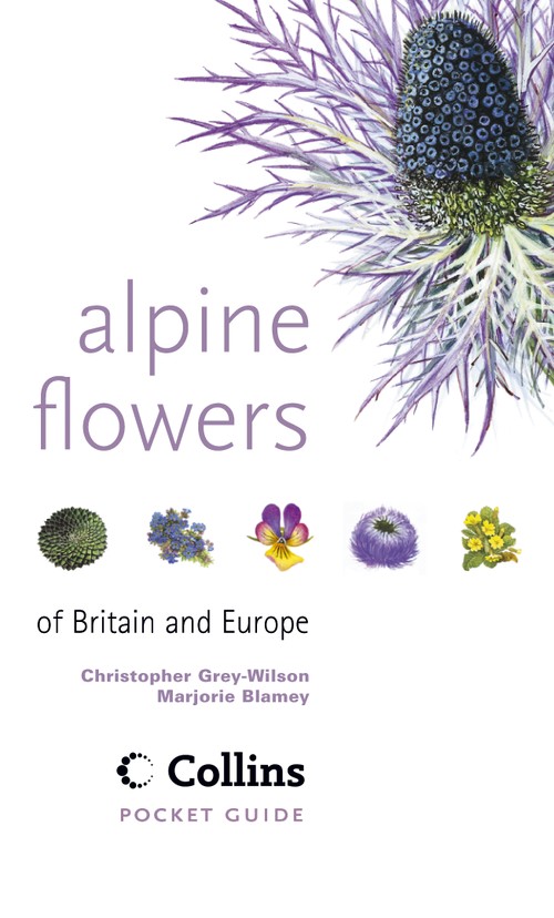 Alpine Flowers of Britain and Europe