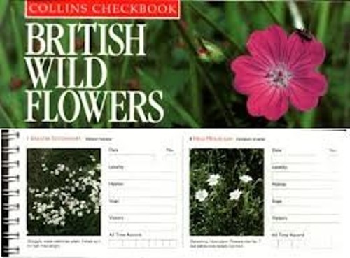 British Wildflowers