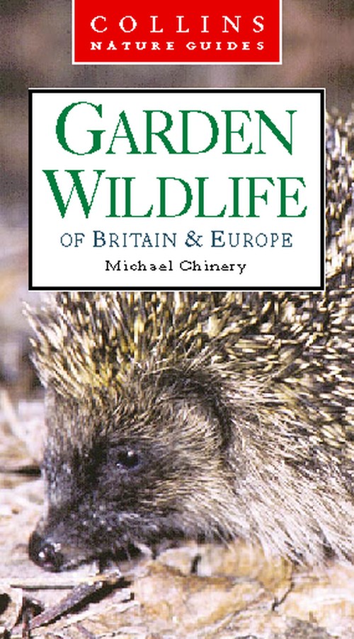 Garden Wildlife