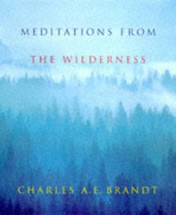 Meditations from the Wilderness