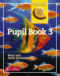 Pupil Textbook 3