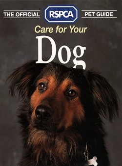 Care for your Dog
