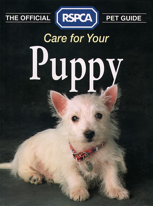 Care for your Puppy