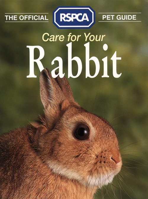 Care for your Rabbit