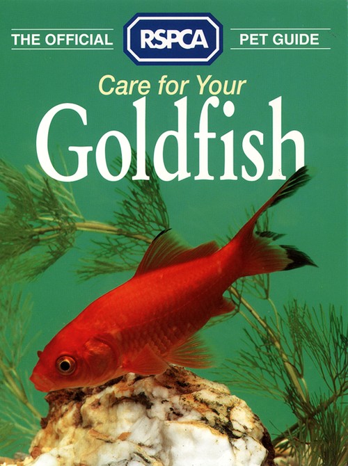 Care for your Goldfish