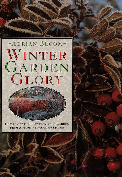 Winter Garden Glory