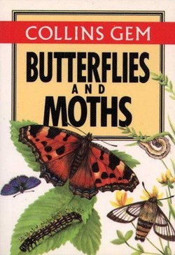 Butterflies and Moths