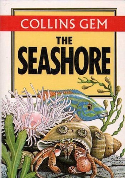 Seashore