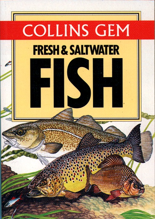 Gem Guide to Fresh and Salt Water Fish