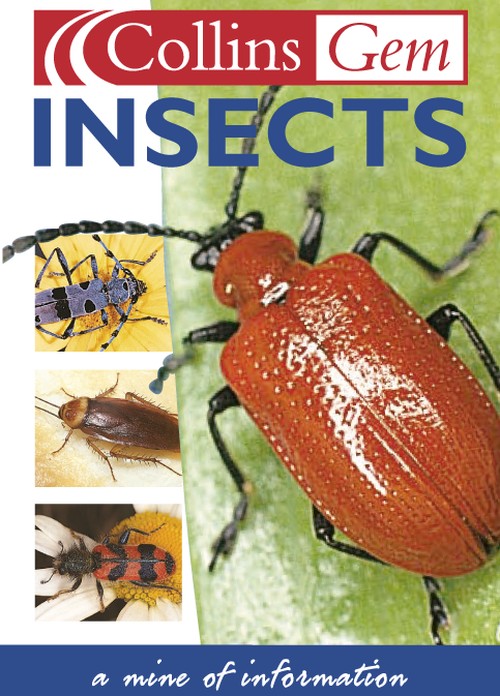 Insects