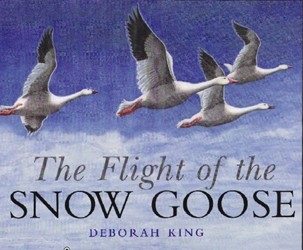 Flight of the Snow Goose