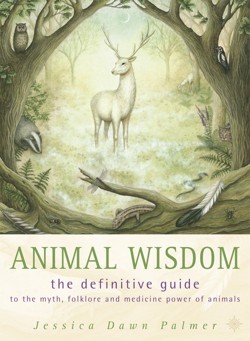 Animal Wisdom
