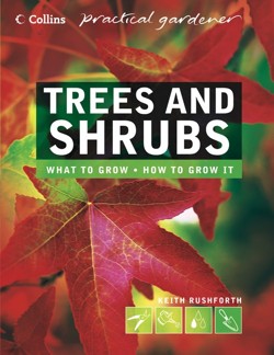 Trees and Shrubs