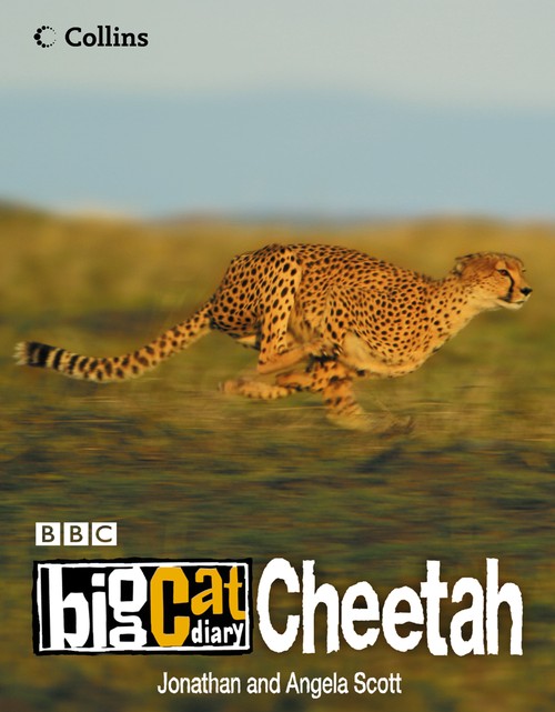 Big Cat Diary: Cheetah