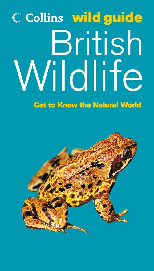 British Wildlife