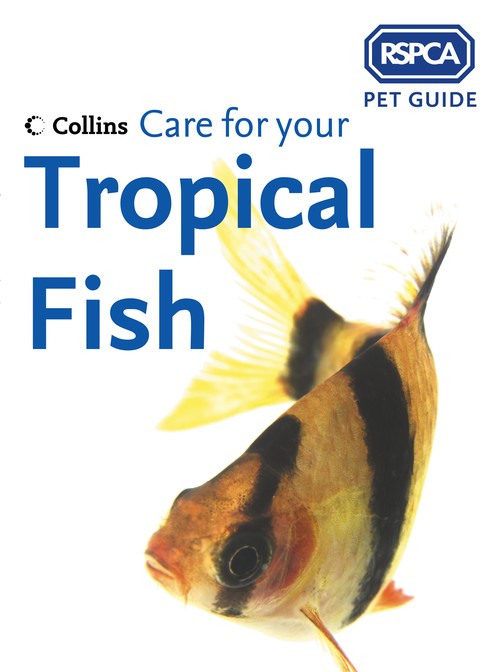 Care for your Tropical Fish