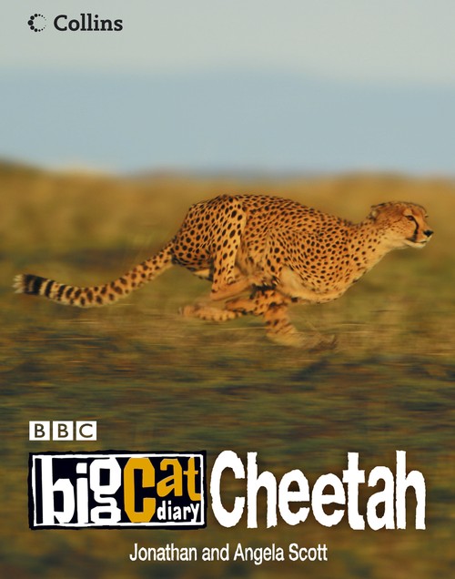 Big Cat Diary