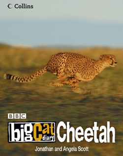 Big Cat Diary