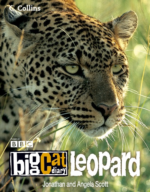 Big Cat Diary