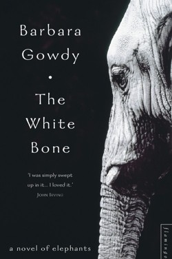 The White Bone