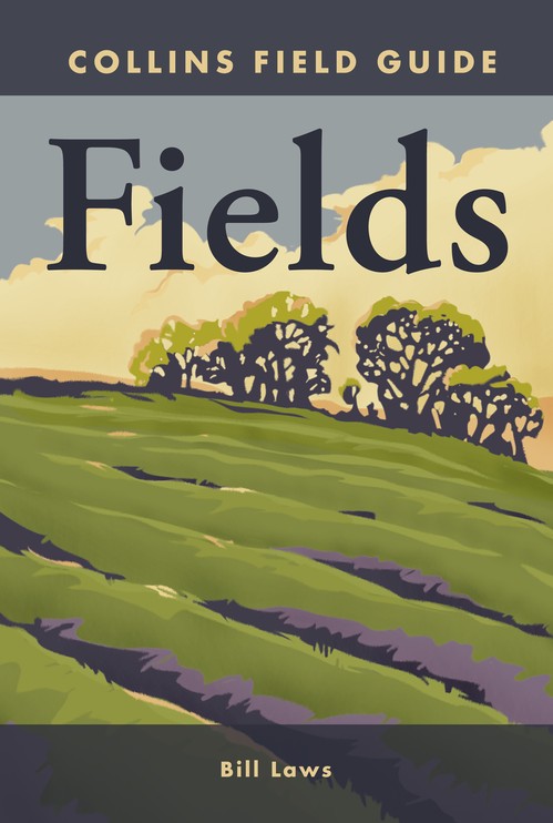 Fields